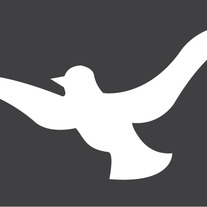 Foreverfoundbird