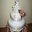Fall_wedding