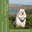 Bookcoverpreviewa