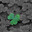 Ireland-clover_copy