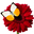 Istock_gerbera_daisy_master