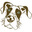 Jack_logo