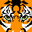 Tigerfacebuton