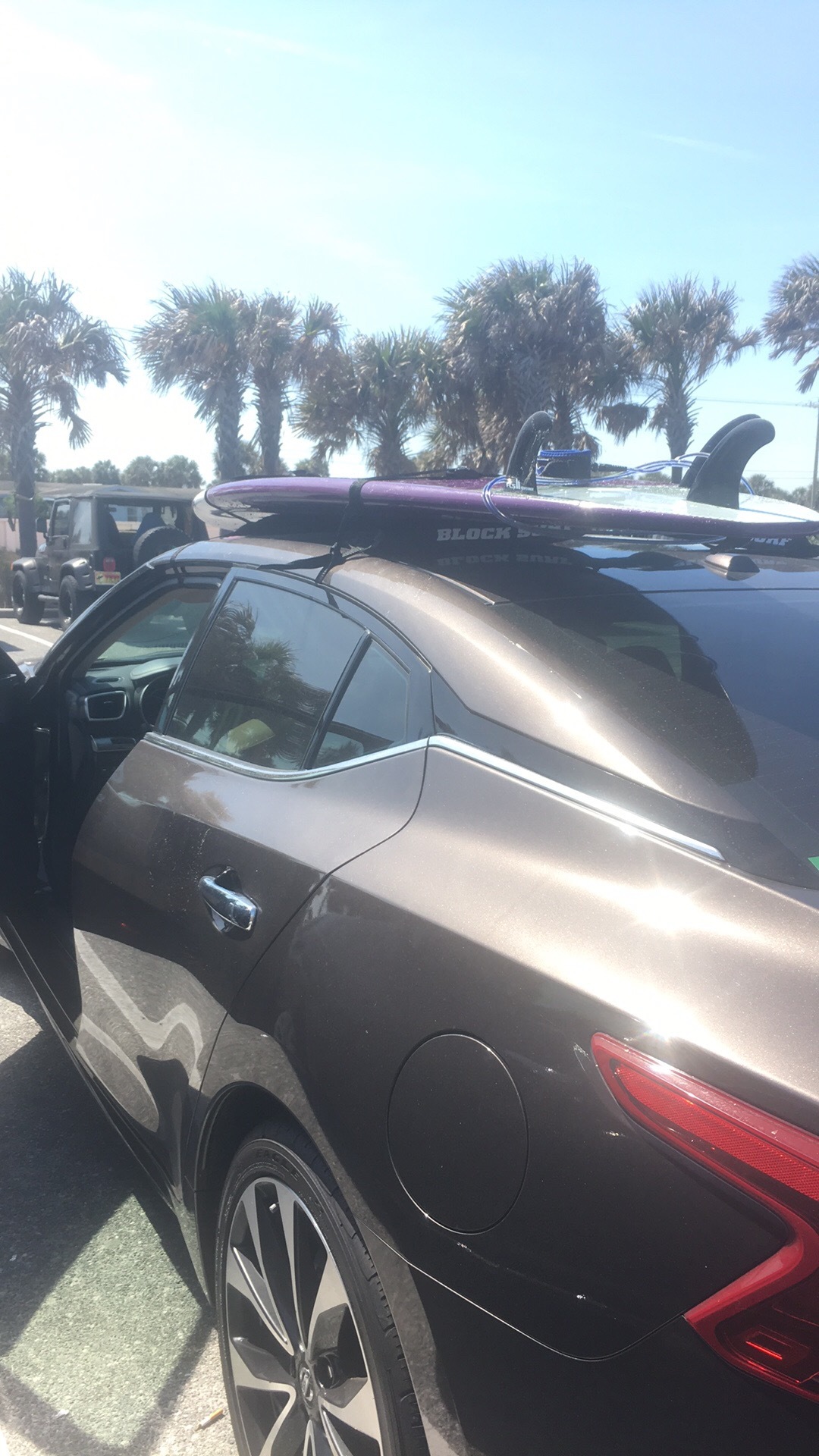 Surfboard Universal Car Rack Double Board Soft Rack