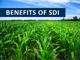 1 replacelesson1image