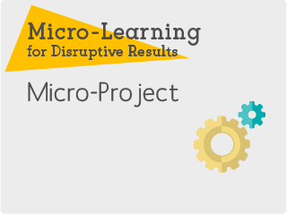 Micro project