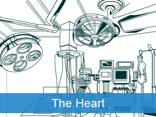 Heart image