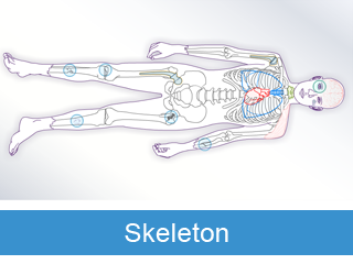 Skeleton image
