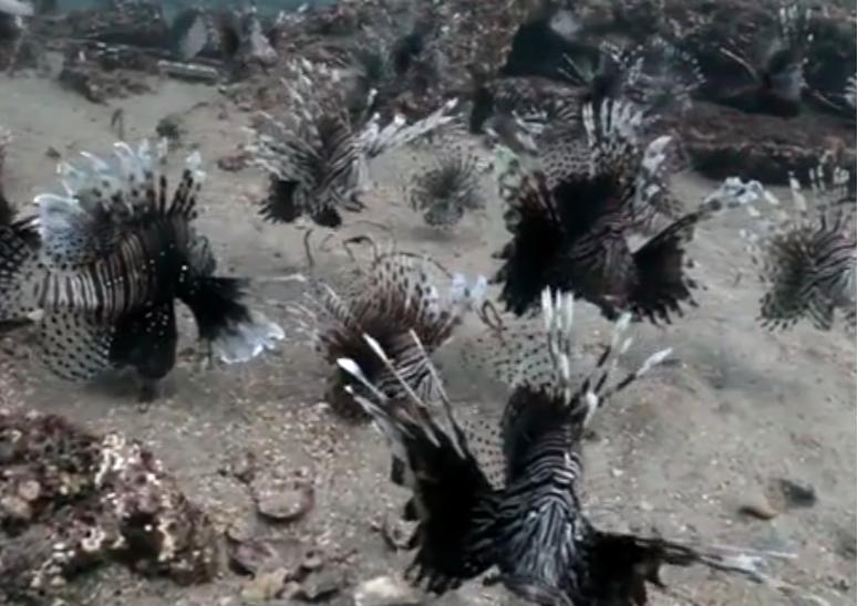 Screenshot 2022 05 05 000253