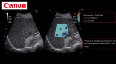 Screenshot 2022 07 19 005916