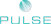 PULSE-Team