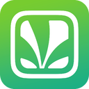 Saavn