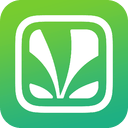 Saavn