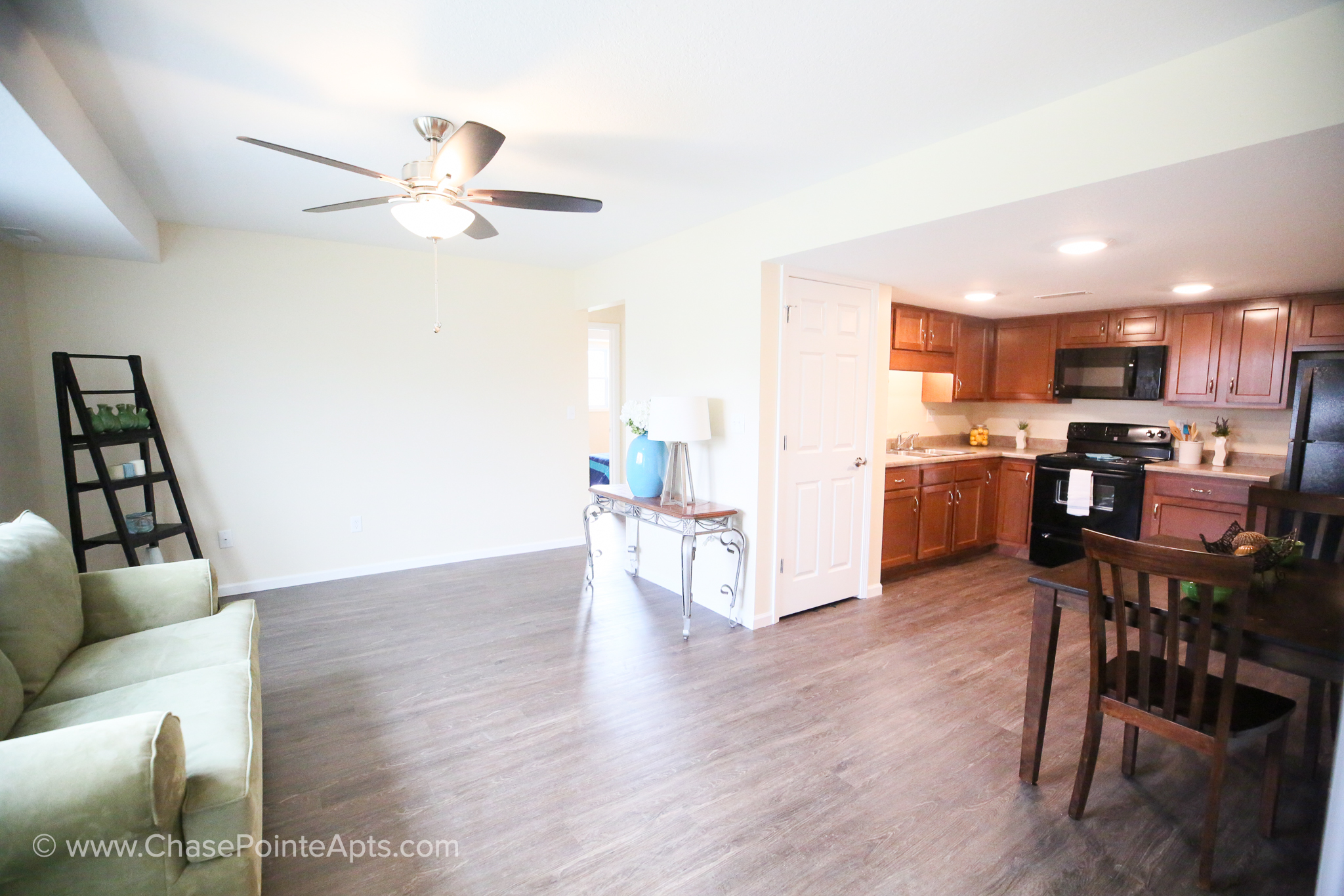 Rent 46733