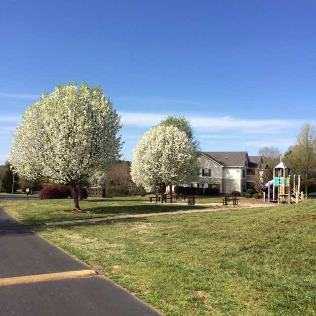 Ridge Run Apartments Apartment Albemarle, NC