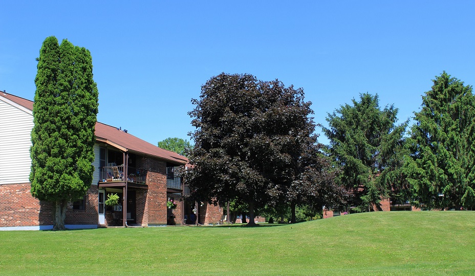 Auburn Heights Apartments Apartment Auburn, NY