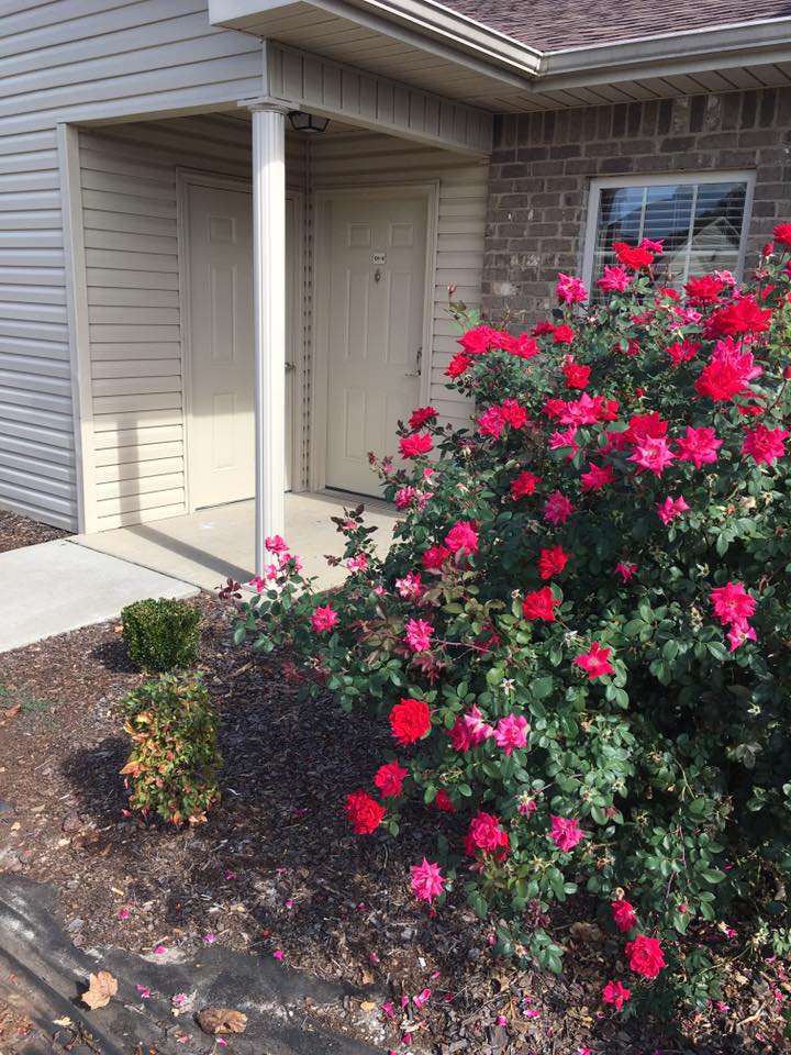 Autumn Pointe Townhomes Apartment Sheffield, AL