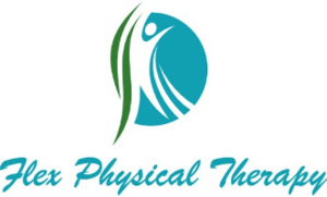 The Flex Physical Therapy Blog | What kind of sneaker is right for you ...