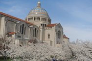 Catholic University of America