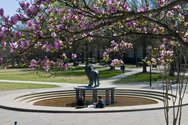 Old Dominion University
