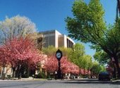 University of Bridgeport