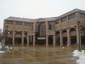Wayne State University