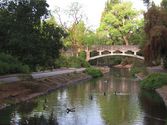 University of California-Davis