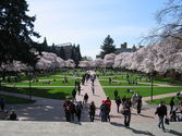 University of Washington-Seattle Campus image