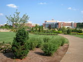 Pennsylvania State University-Main Campus