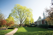 Susquehanna University