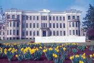 American University