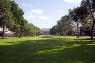 University of Maine