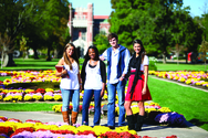 University of Oklahoma Norman Campus image
