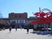 Wright State University-Main Campus