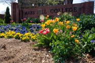 Mars Hill College