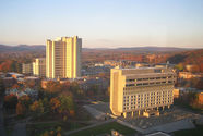 University of Massachusetts Amherst