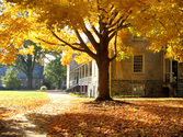 Haverford College