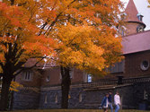 Arcadia University