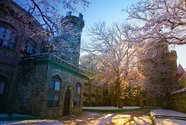 Brandeis University