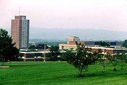 SUNY at Binghamton