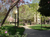 Kings College-Wilkes Barre