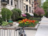 New England College of Optometry