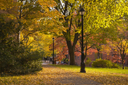 Appalachian State University Appalachian State University