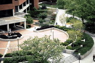 Wichita State University