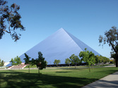 California State University-Long Beach