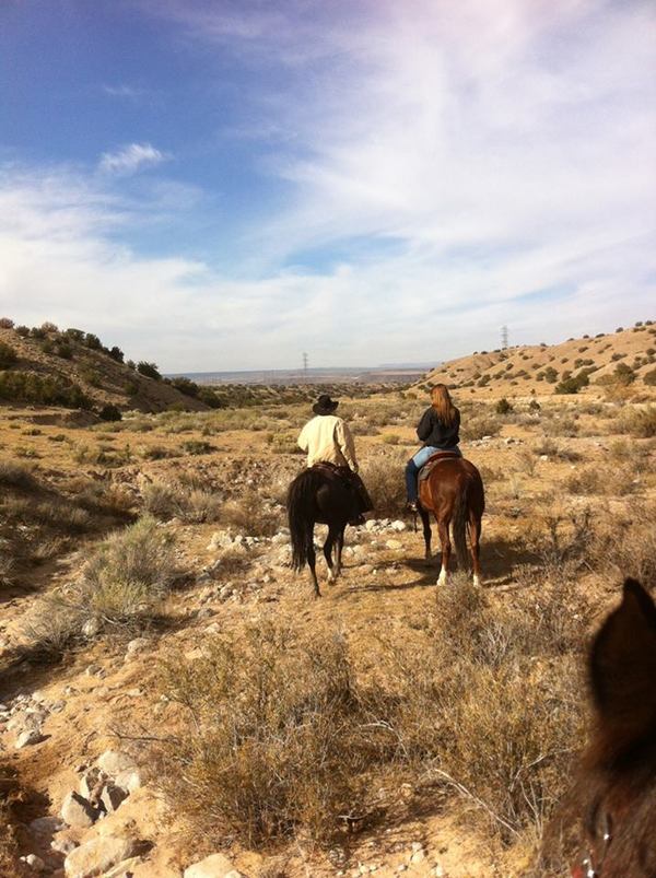 November 18 Featured Member Horses – Saddled and Ready