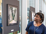COL Professor Paula Johnson Exhibition
