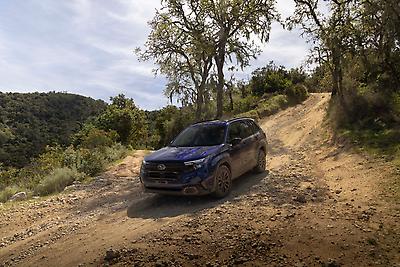 2025 Subaru Forester Hybrid