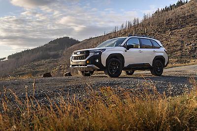 2026 Subaru Forester Wilderness&nbsp;