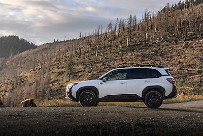 2026 Subaru Forester Wilderness&nbsp;